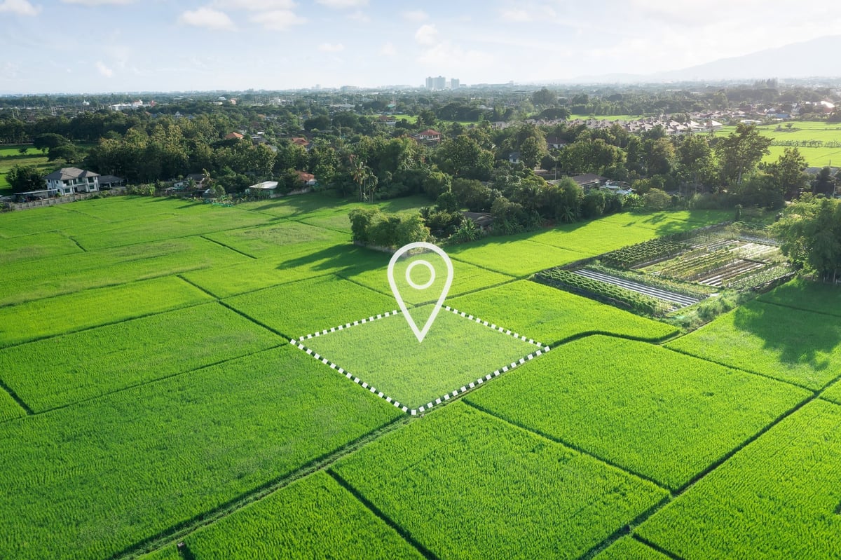 Land plot for development