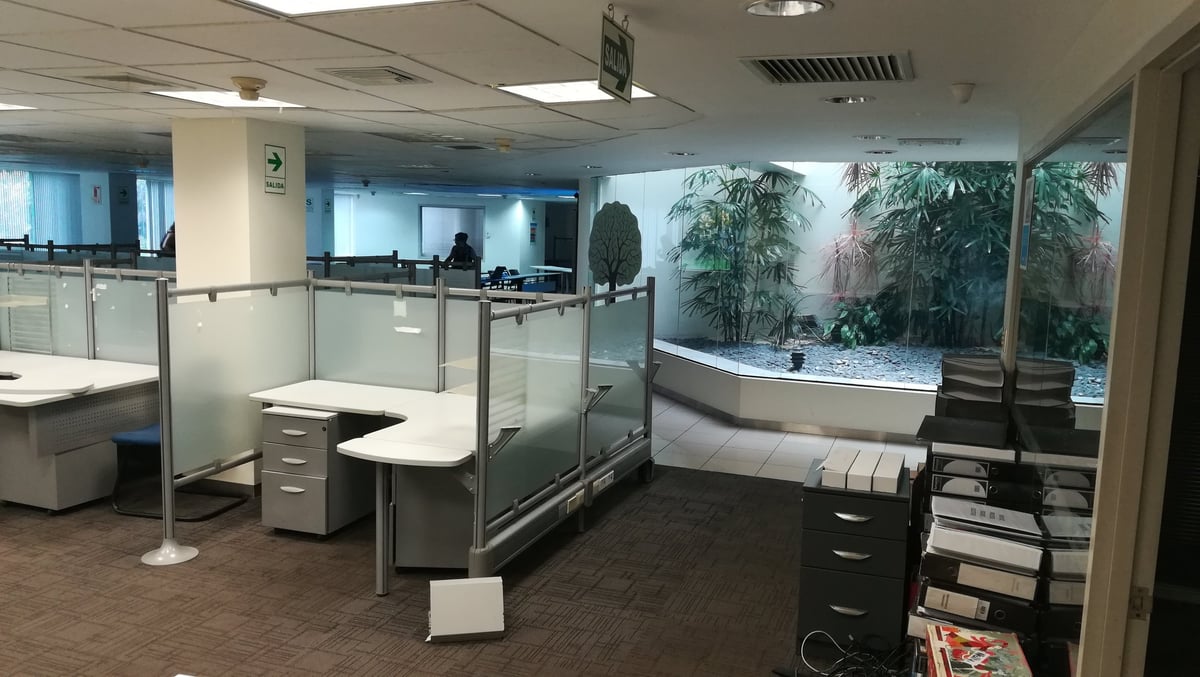 Modern office space with glass-partitioned workstations, potted plants, and a curved reception counter near windows with natural light