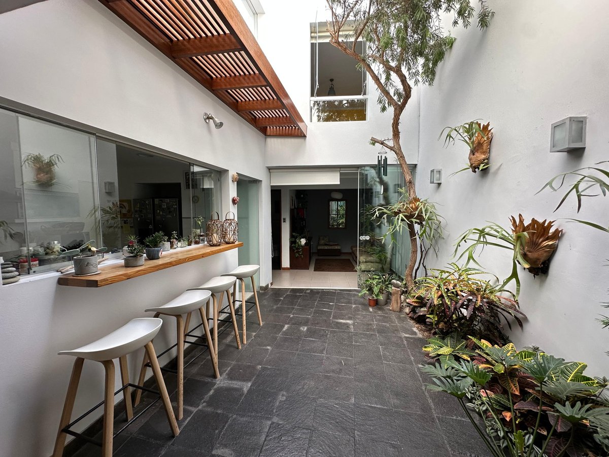 Modern minimalist cafe interior with white walls, wooden counter seating, dark flooring, potted plants, and skylight in a contemporary courtyard setting