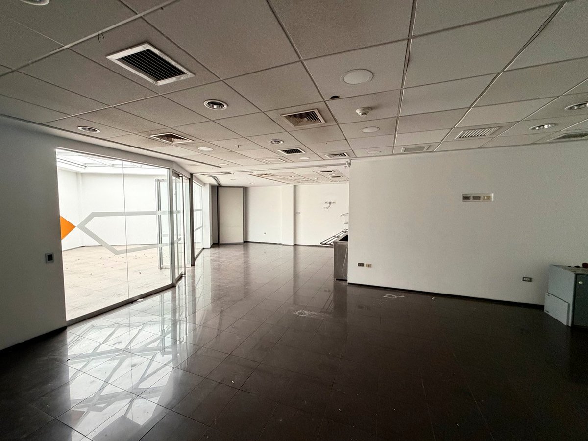 Empty modern office or retail space with polished dark flooring, white walls, drop ceiling, and glass entrance doors with natural light
