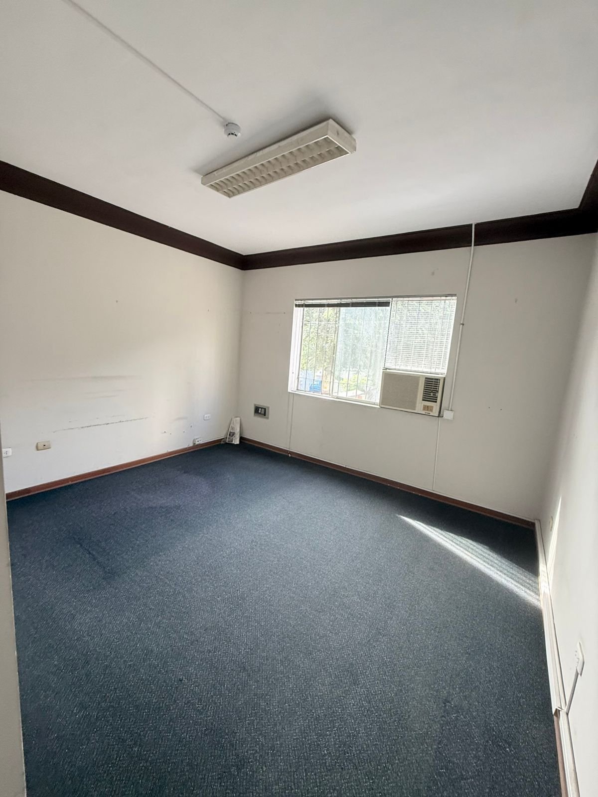 Empty office room with gray carpet, white walls, black trim, window with air conditioning unit, and ceiling-mounted light fixture