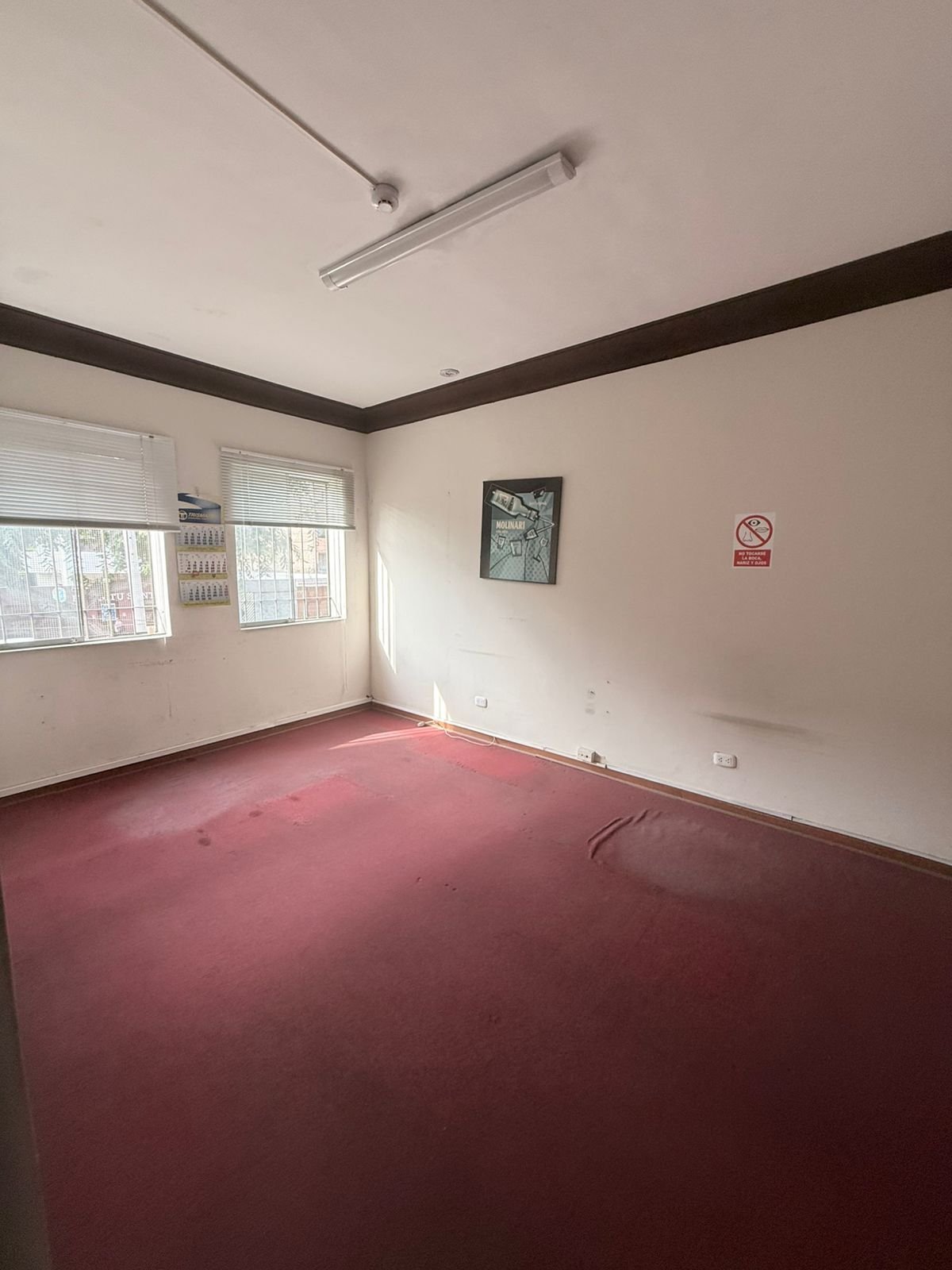 Empty office or classroom with burgundy carpet, cream walls, dark trim, windows, fluorescent ceiling light, and posted notices
